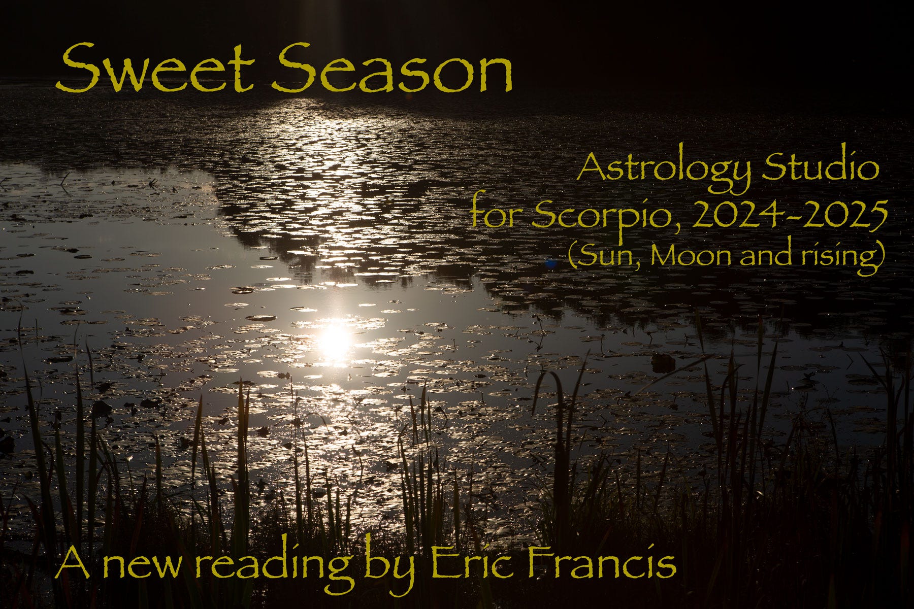 Special Focus Scorpio Astrology 20242025