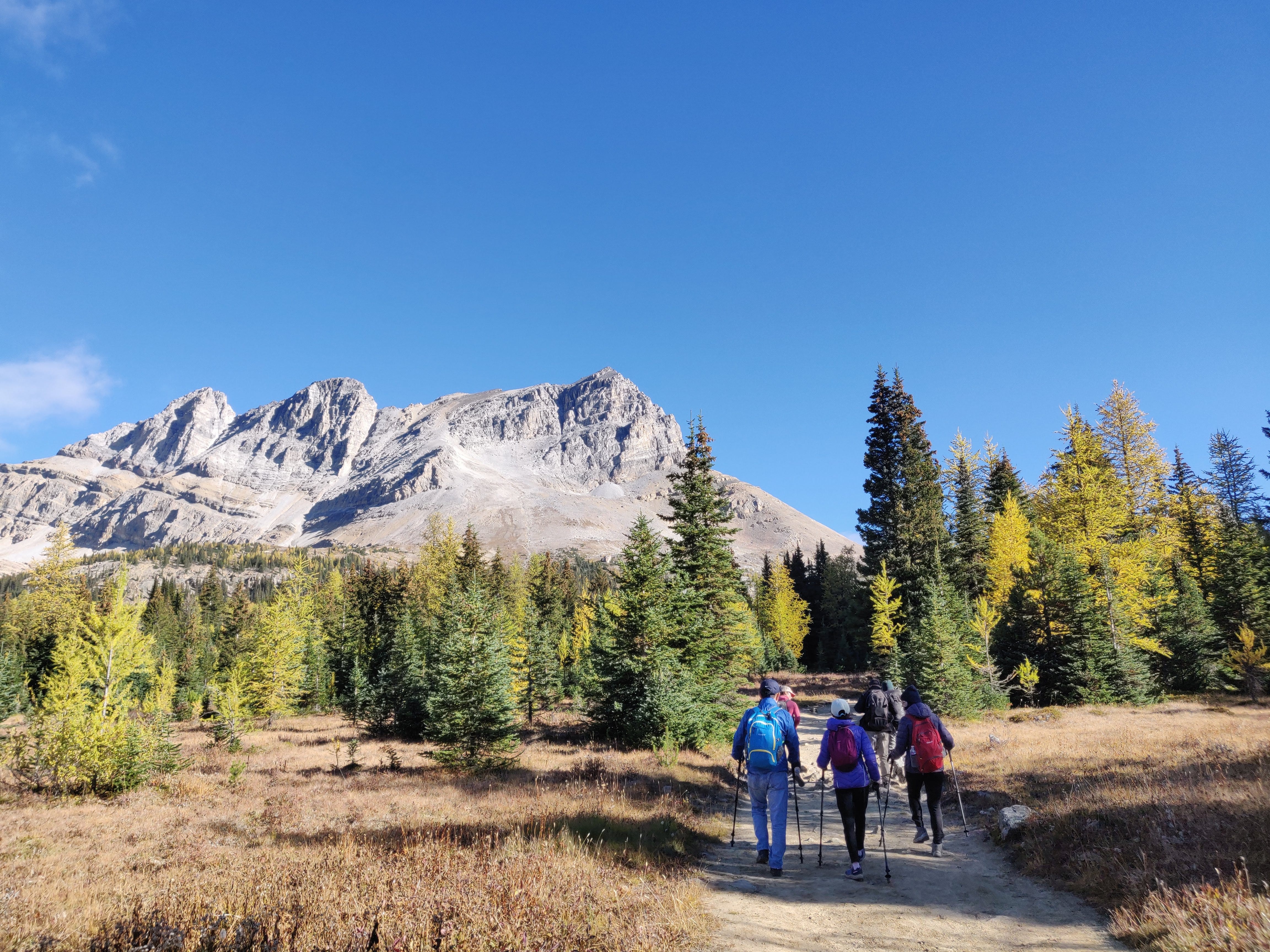 Guided hikes 2025