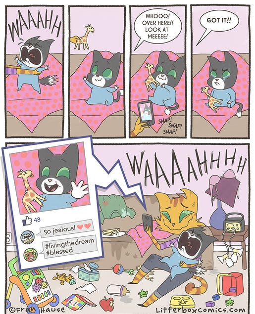 Litterbox Comics and self-imposed misery in domestic life