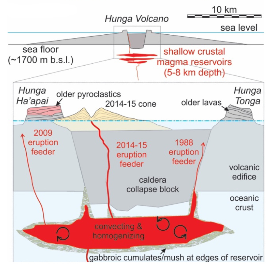 The Hunga TongaHunga Ha'apai volcanic eruption and the stochastic