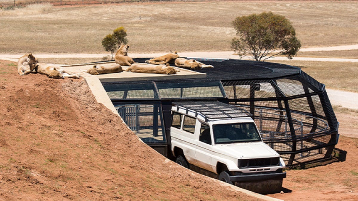 Monarto Safari Park may be more appealing than African trips