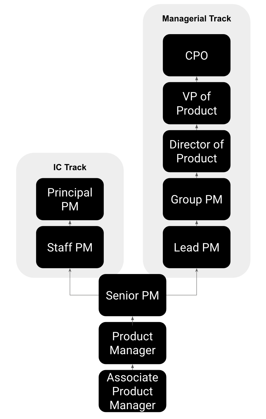 The PM Career Ladder Your Unofficial Guide