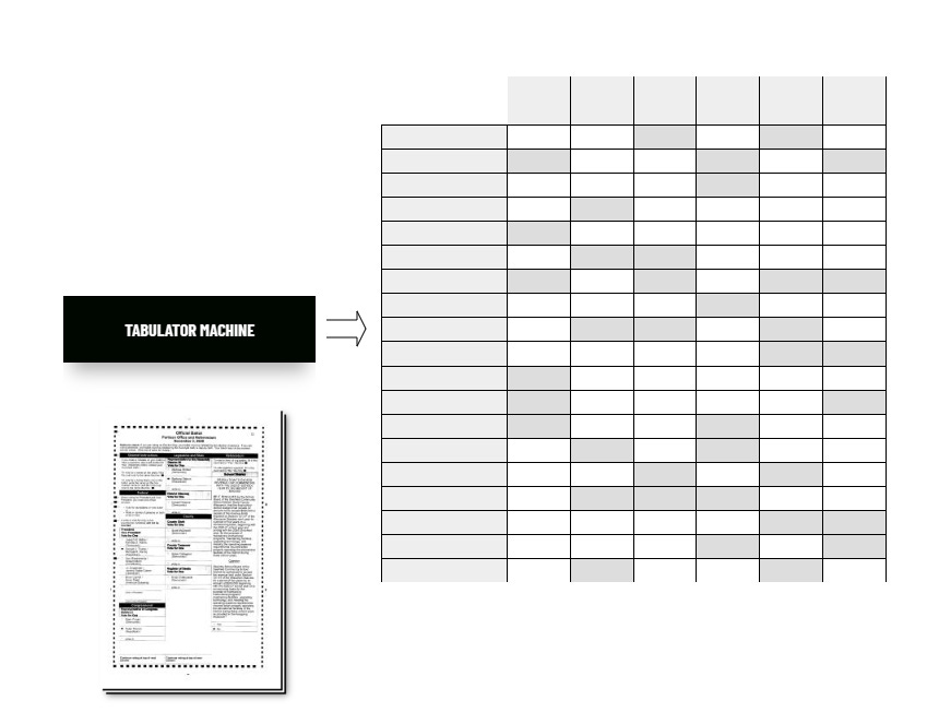 What A Cast Vote Record REALLY LOOKS LIKE!