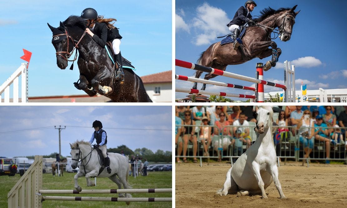Horse Field Calendar Horse Field