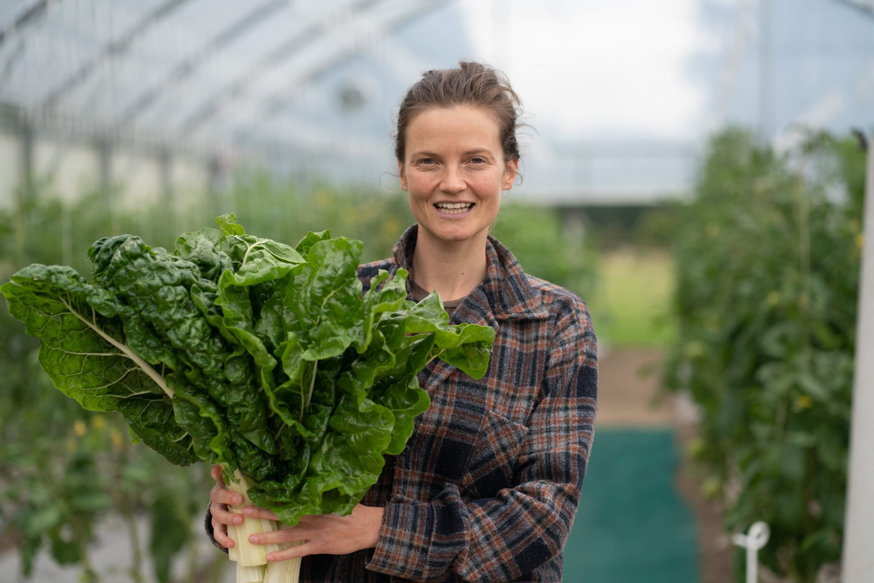 Why we should all eat Silverbeet