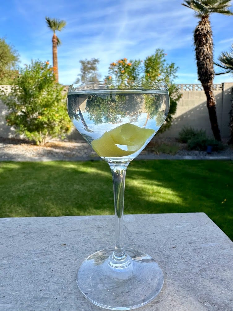 Kirkland Signature London Dry Gin Martinis