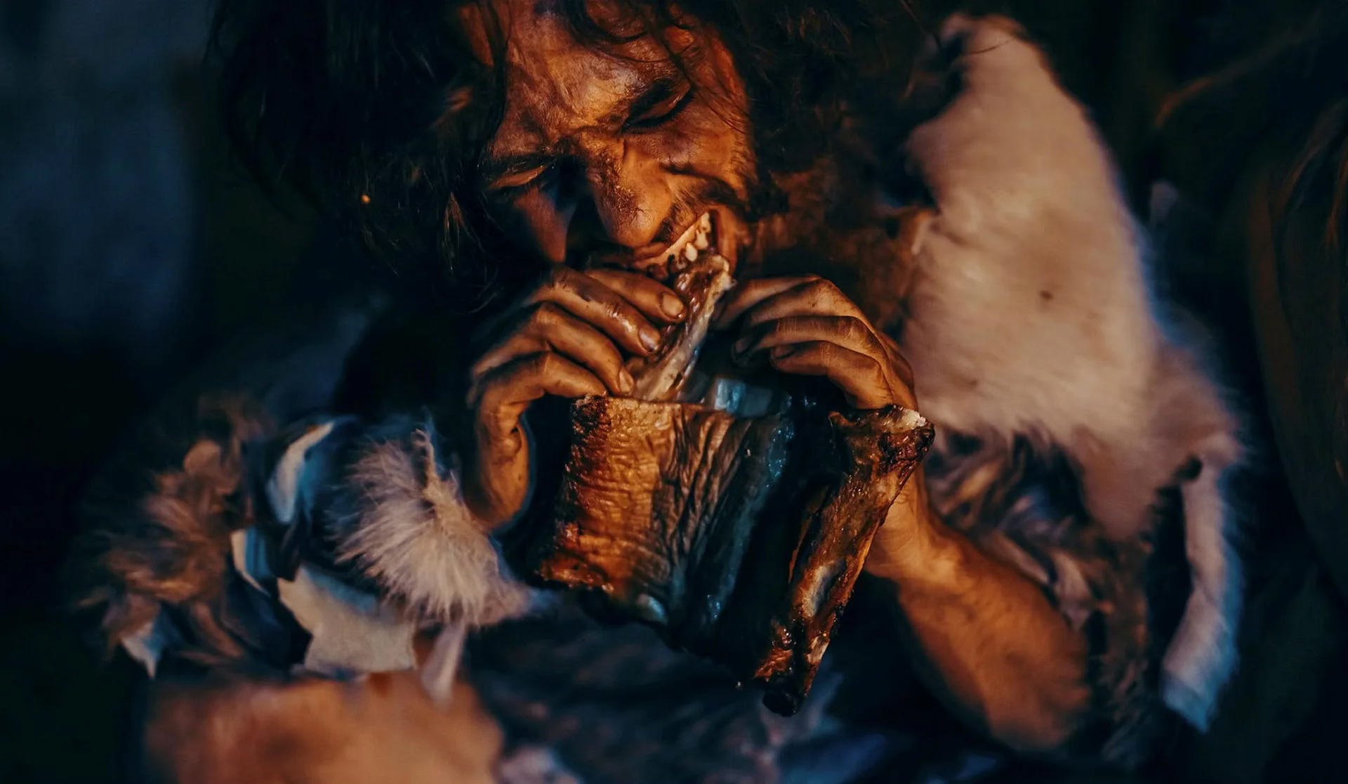 Deciphering Neanderthal Diets: The Zinc Conundrum