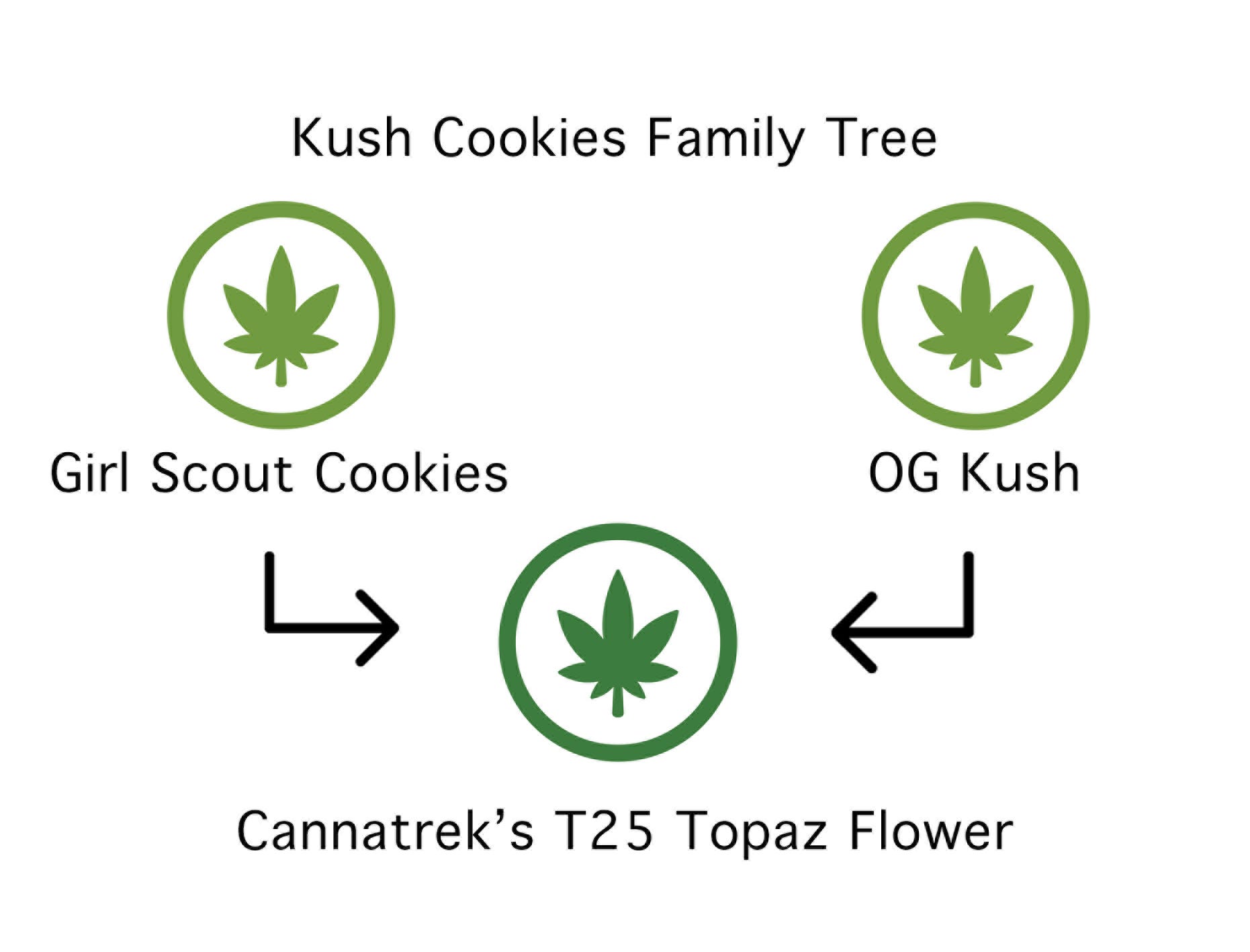 Cannatrek