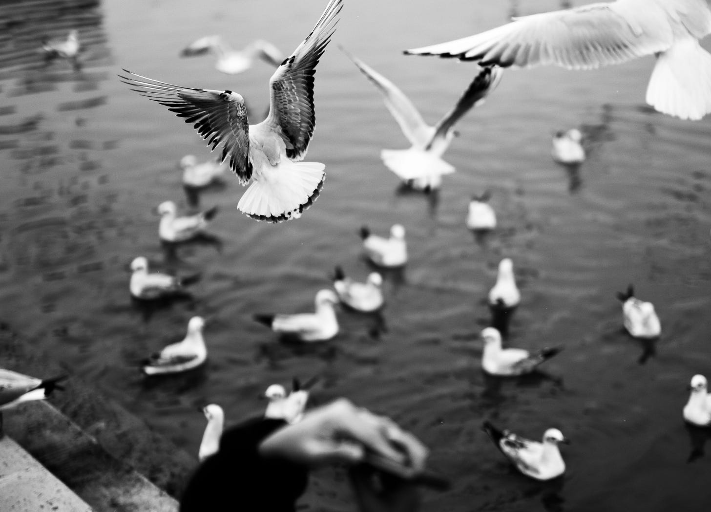 Return on Attention The Kitchen Sink Series