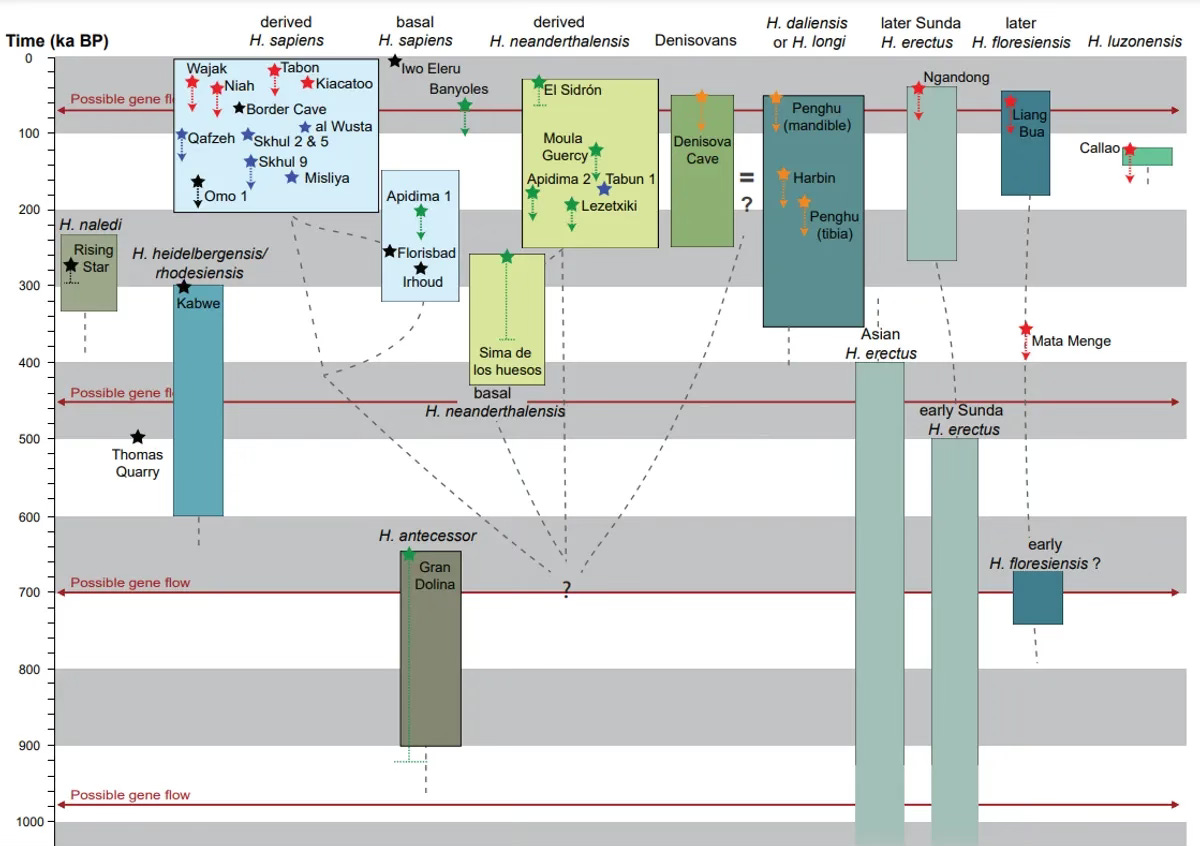Revising Human Evolution: How New Methods Are Reshaping Our Ancestral Timeline