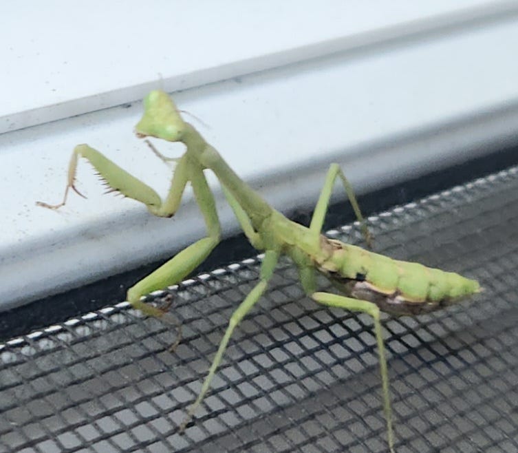 Round like a circle in a spiral, like a wheel within a wheel Never