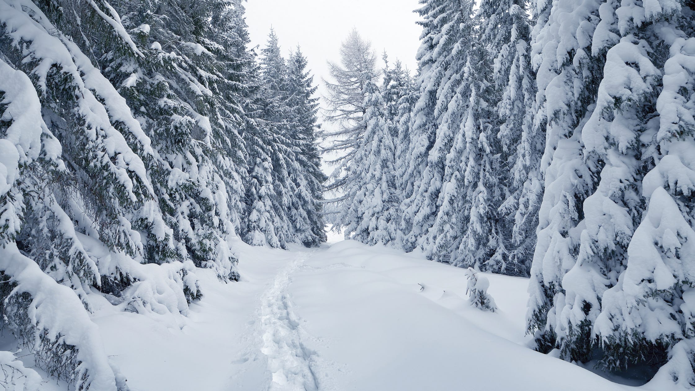 What do you like about winter by K. E. Creighton