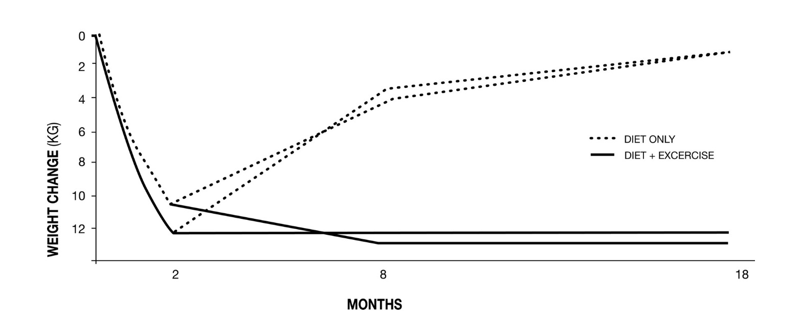REVIEW Burn, by Herman Pontzer by Jane Psmith