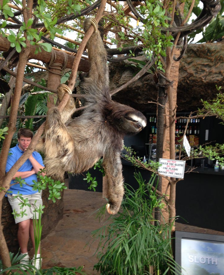 CPR news uses its platform to amplify vague accusations. Newly ...