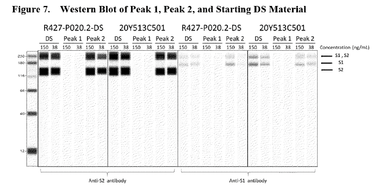 Part 2 Startling Evidence Suggests BioNTech/Pfizer Falsified Key Data