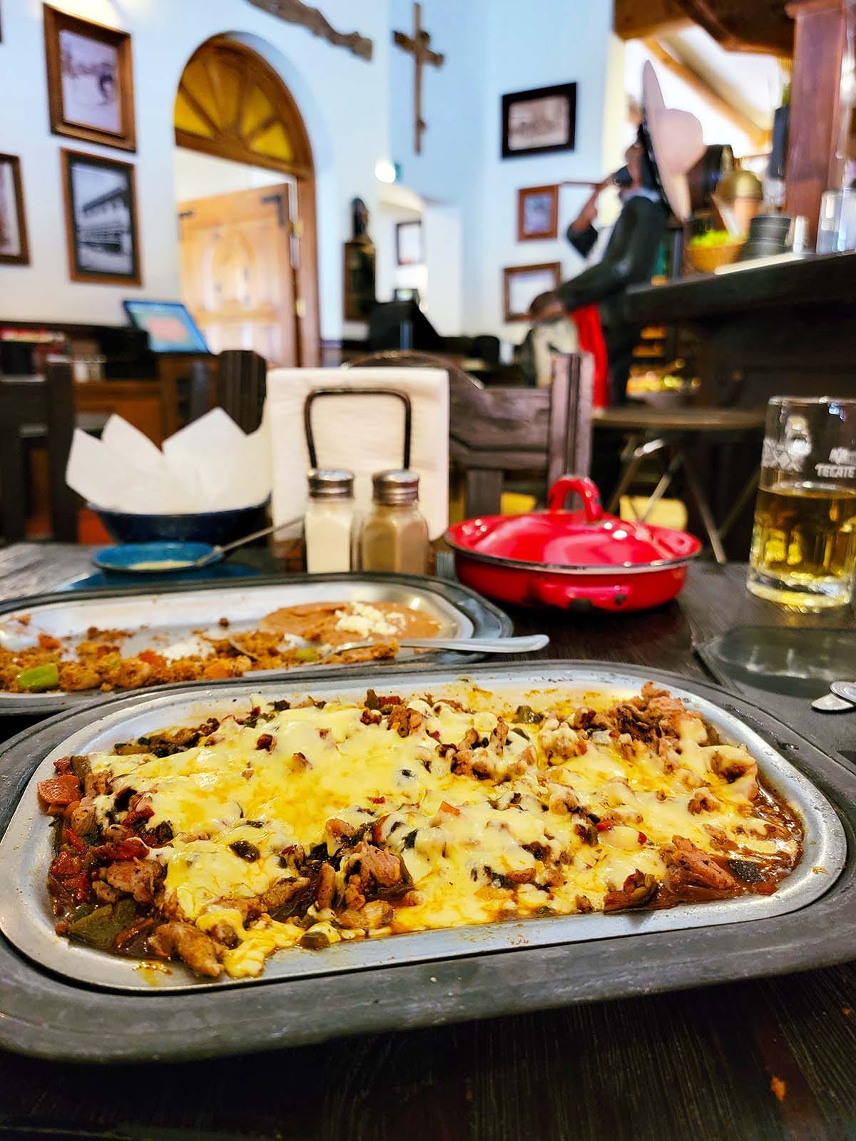 Chihuahua best sale favorite food