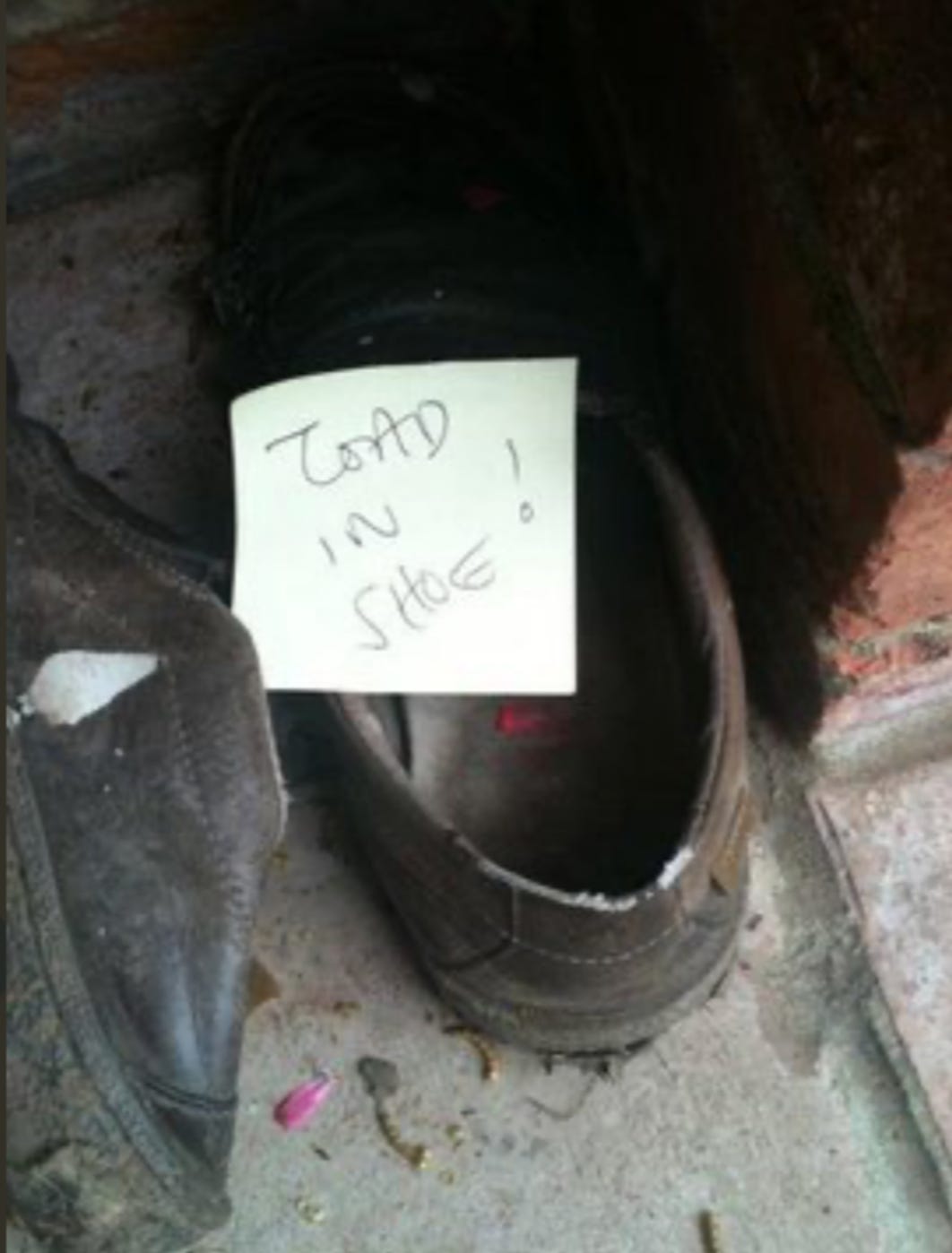 Toad footwear amazon cheap