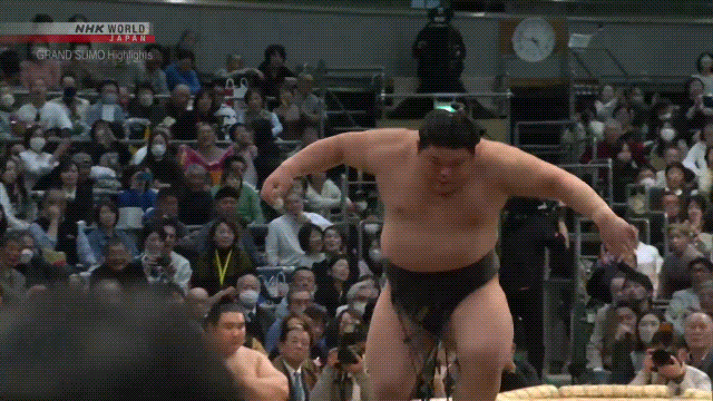 SUMO STOMP #9（新品/送料無料）【楽器検索デジマート】