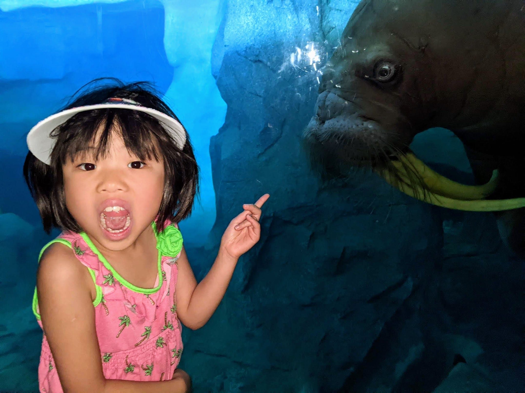 Seeing Sea World - by Papa Bear - Bear Family Adventures