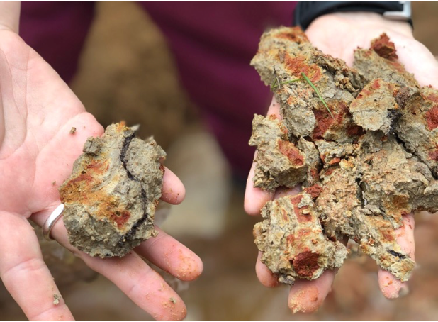 Soils are colorful natural wonders by Yamina Pressler