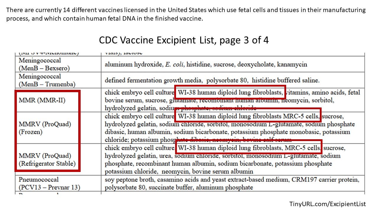 Fetal DNA in Vaccines: You Can't be Pro-Life and Pro-Vaccine