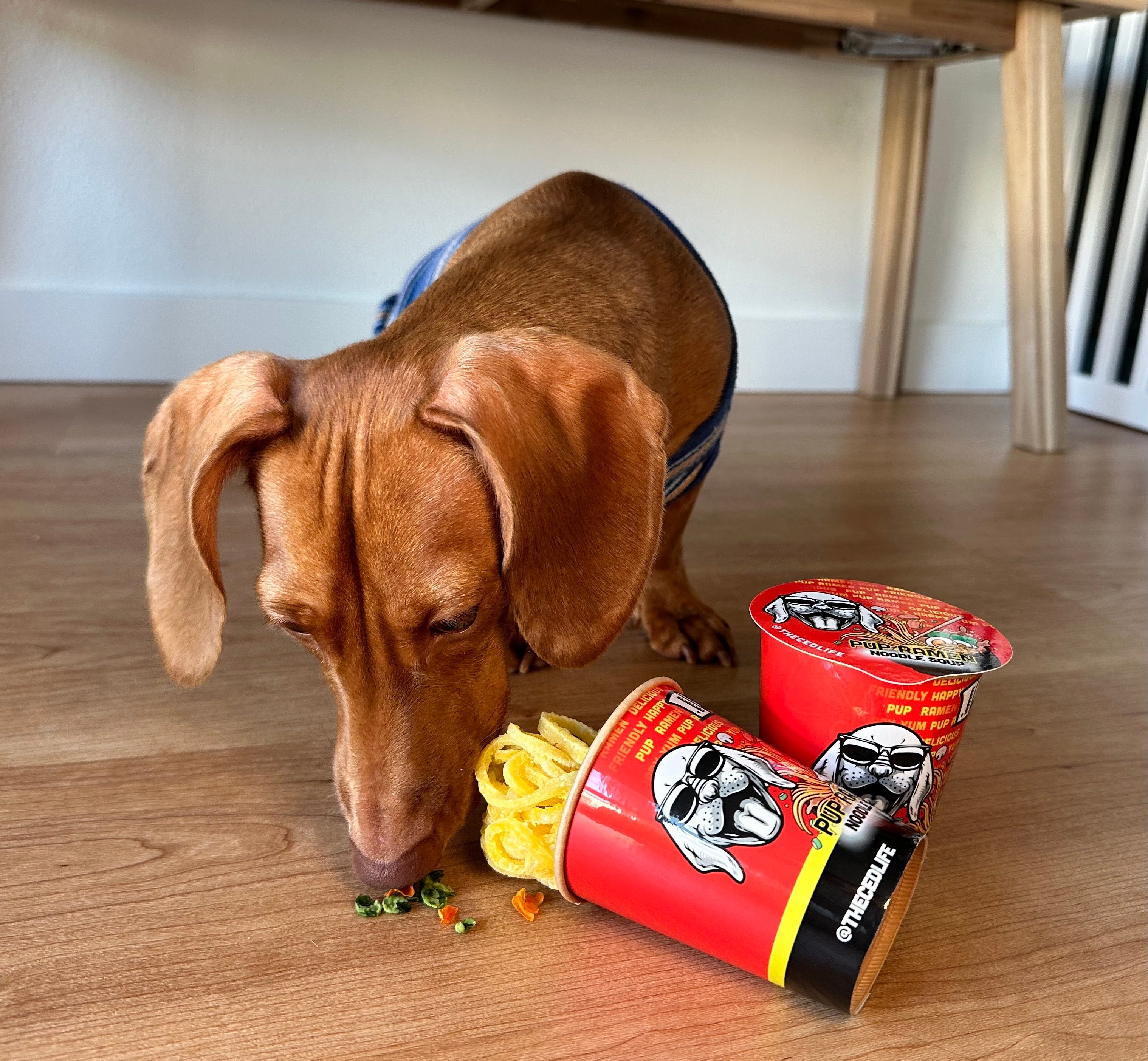 Pup noodles dog toy cheap