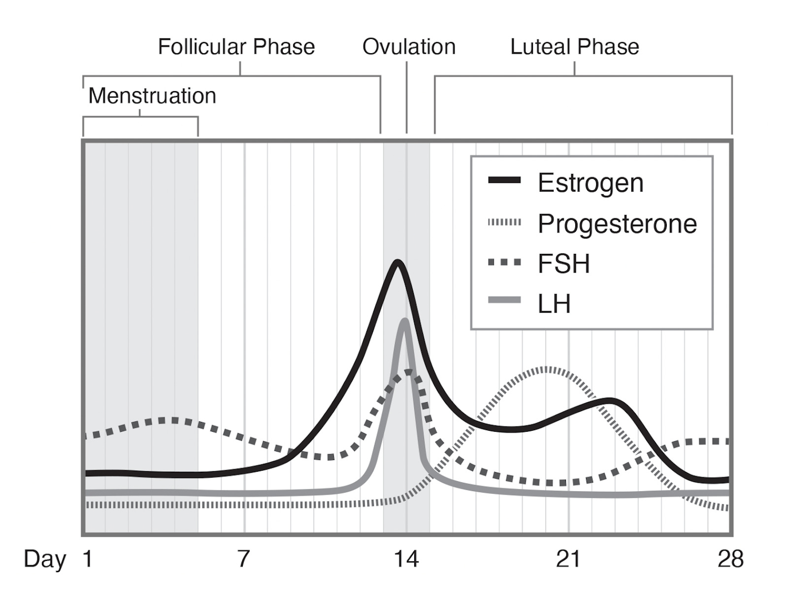 Menopausal Hormone Therapy vs. EstrogenContaining Contraception