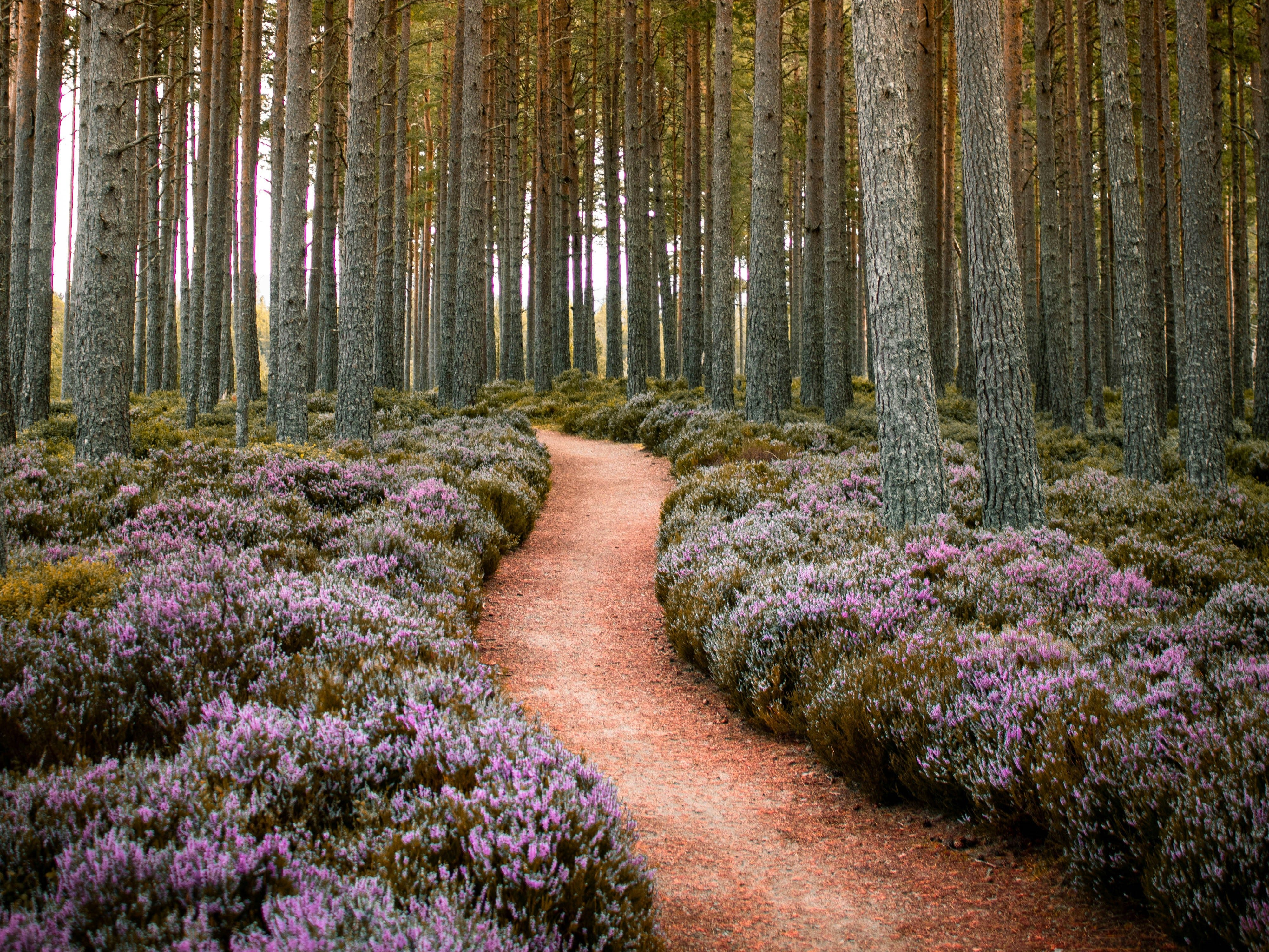 Finding Yourself: A Journey of Self-Discovery