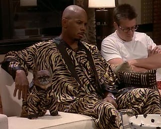 Spin city dog top