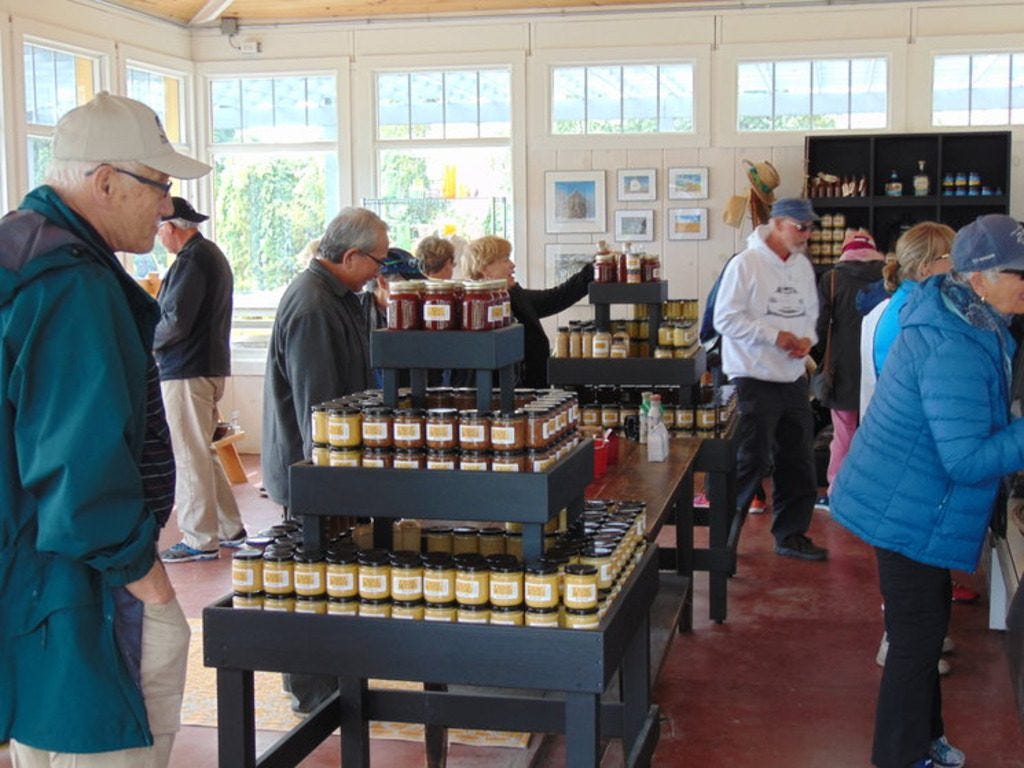 Prince Edward County Getaway Wineries, Cider, Nature and…Cars?