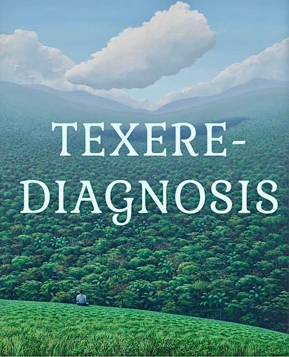 Texere Diagnosis by Sophie Strand Make Me Good Soil
