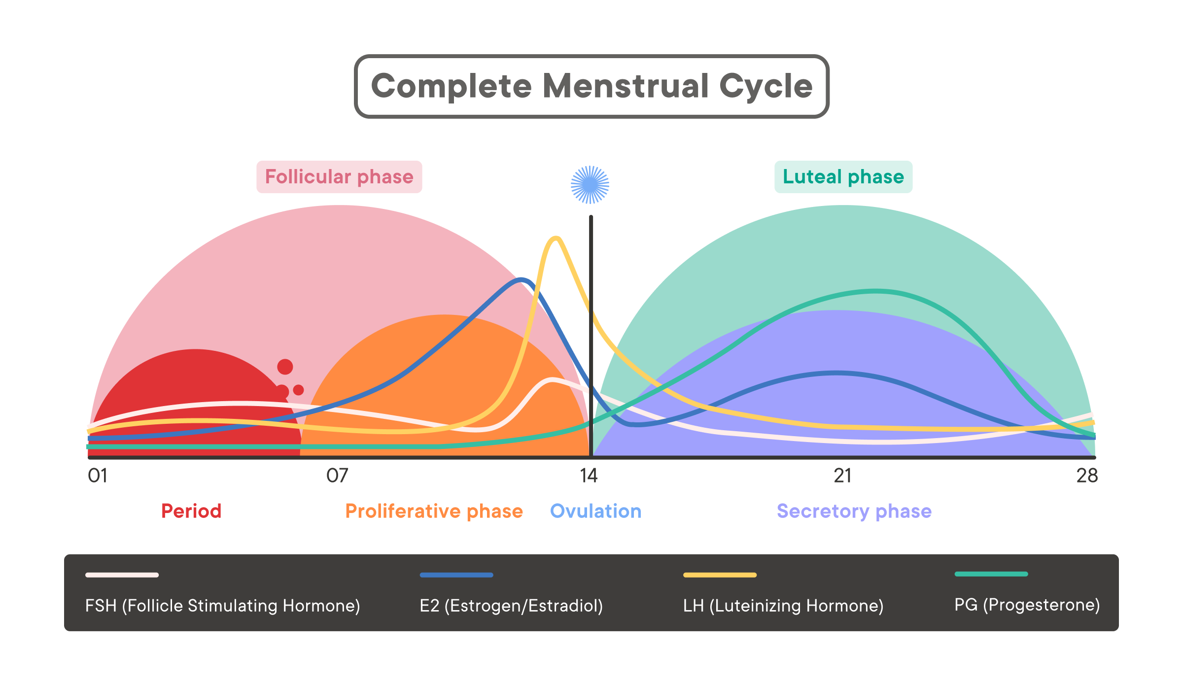 Menstruation and worsening MS symptoms