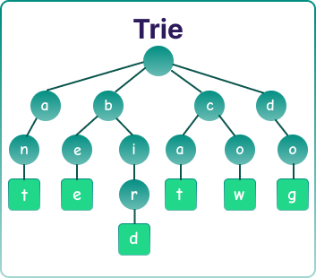 11 Data Structures Every Developer Should Know