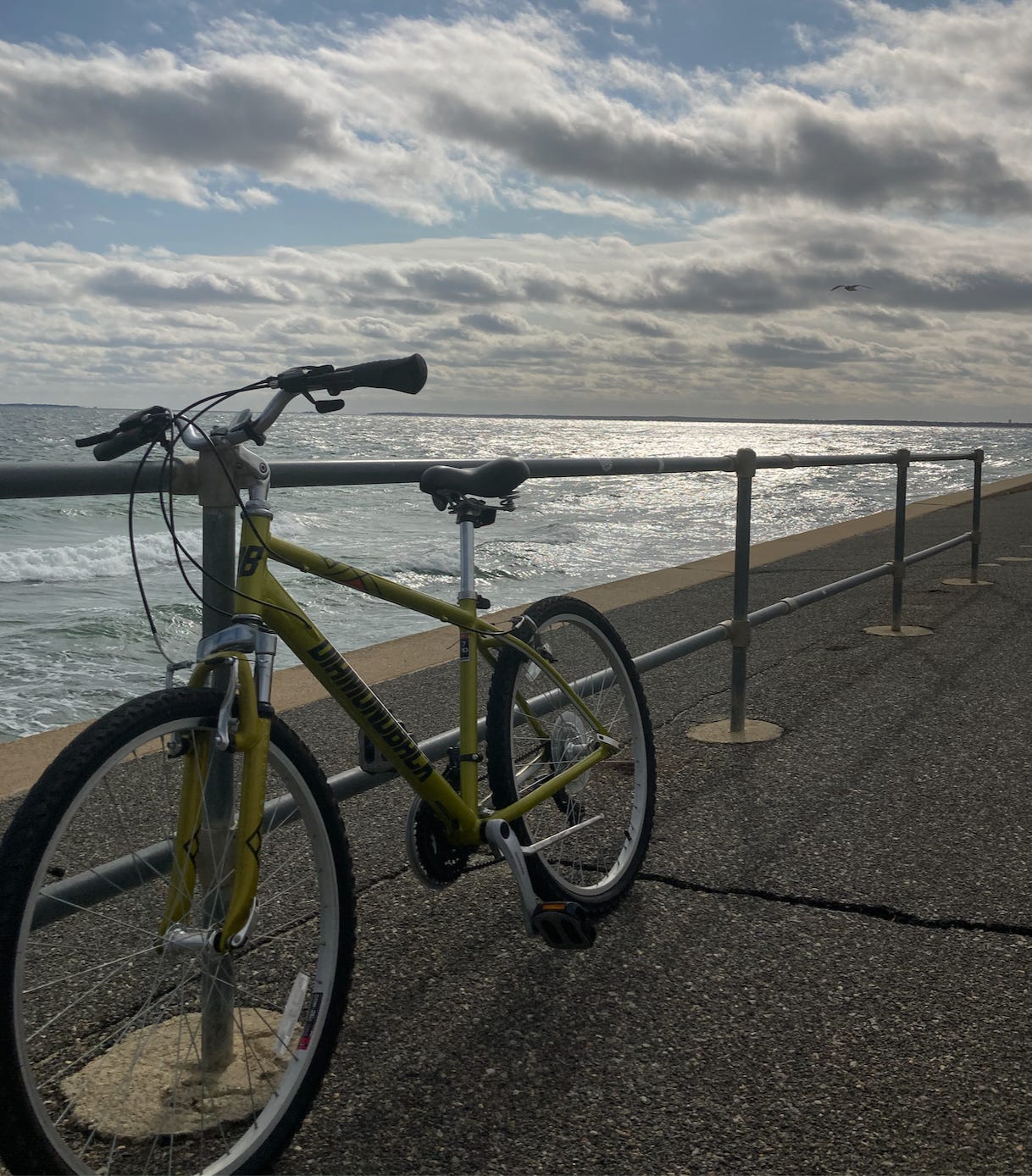 Amazon 2024 specialized bike