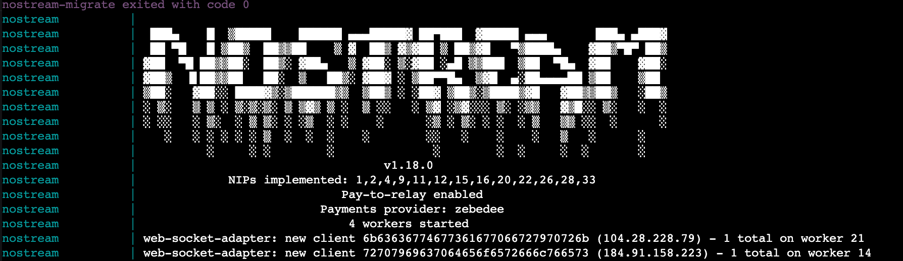 How to Setup a Paid Nostr Relay by André Neves