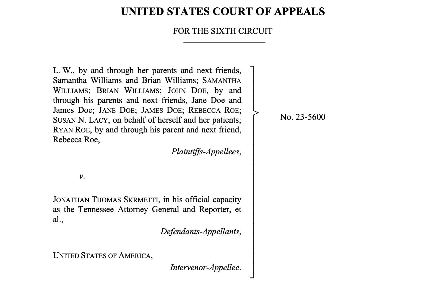 Appeals court lets Tennessee #39 s trans care ban go into effect Appeals court lets Tennessee #39 s trans care ban go into effect