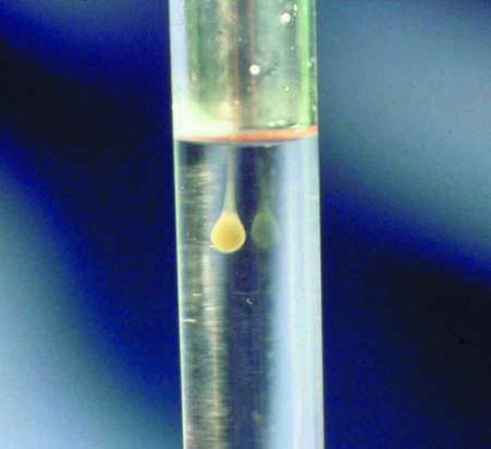 Fip test sales