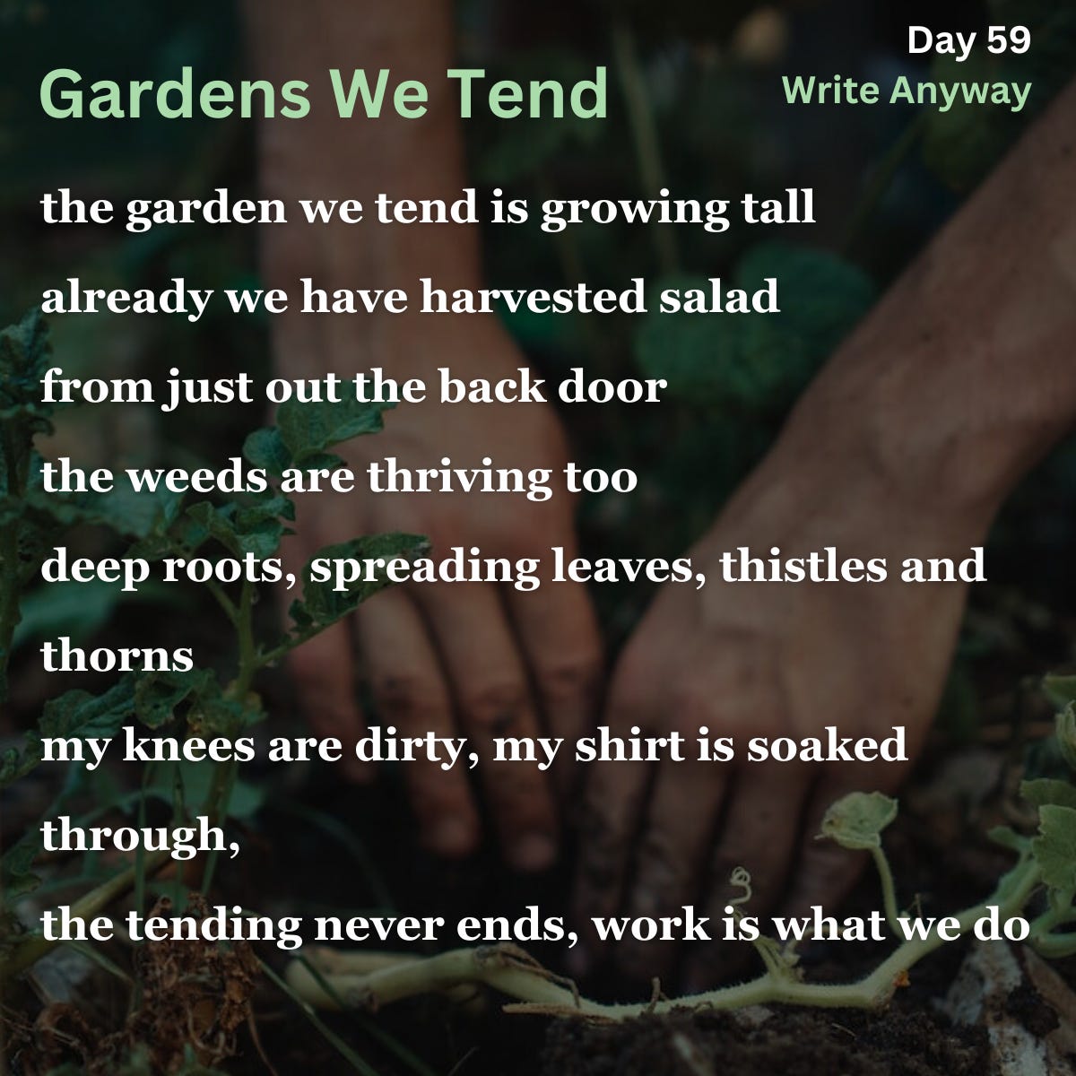 Day 59 Gardens We Tend Something of Meaning