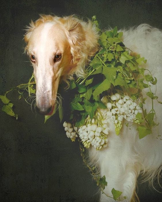 gabrielle sanchez | Substack