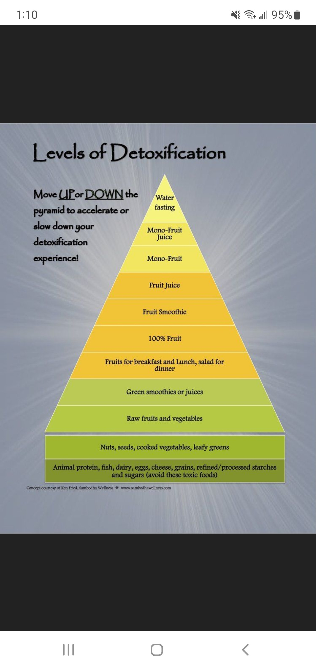 What is Regenerative Detoxification? by Kasey