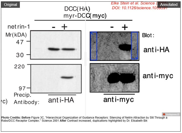 Stanford Scandal by Danny Hatcher Danny's Newsletter