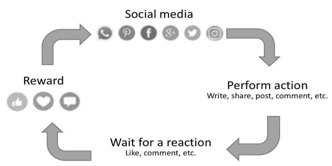 Frontiers | Publisher of peer-reviewed articles in open access journals