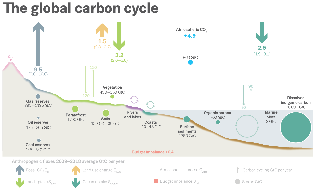 New Global Carbon Data Revives the "Missing Sink" Problem
