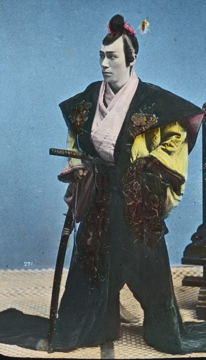 The Tokugawa of Japan by Paul Hesse