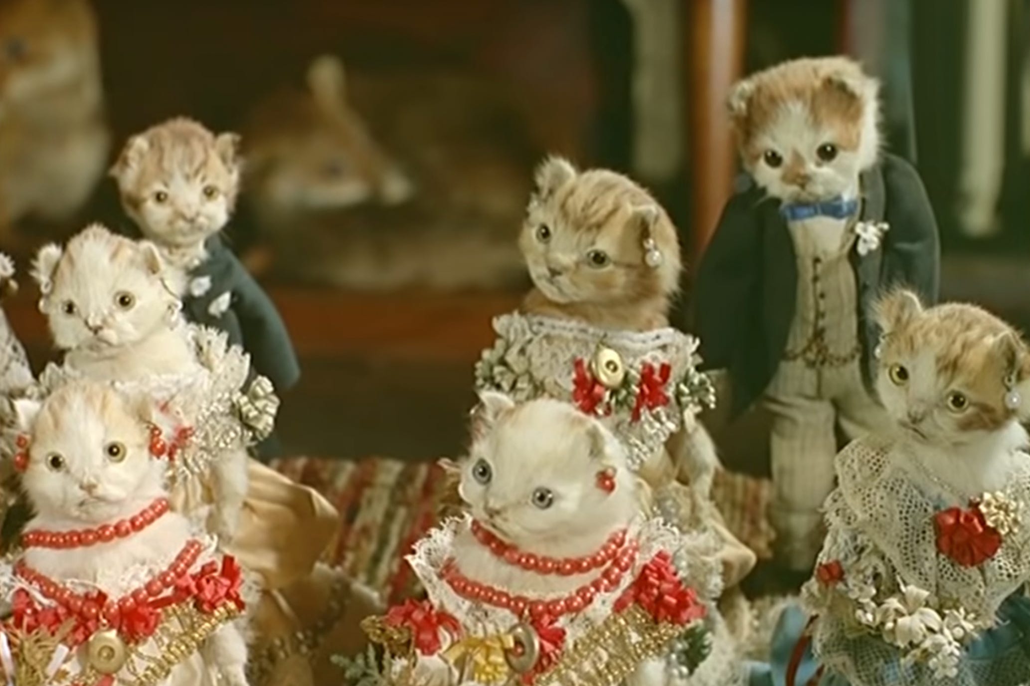 Skinning Kittens and Other Wrong Turns in Life