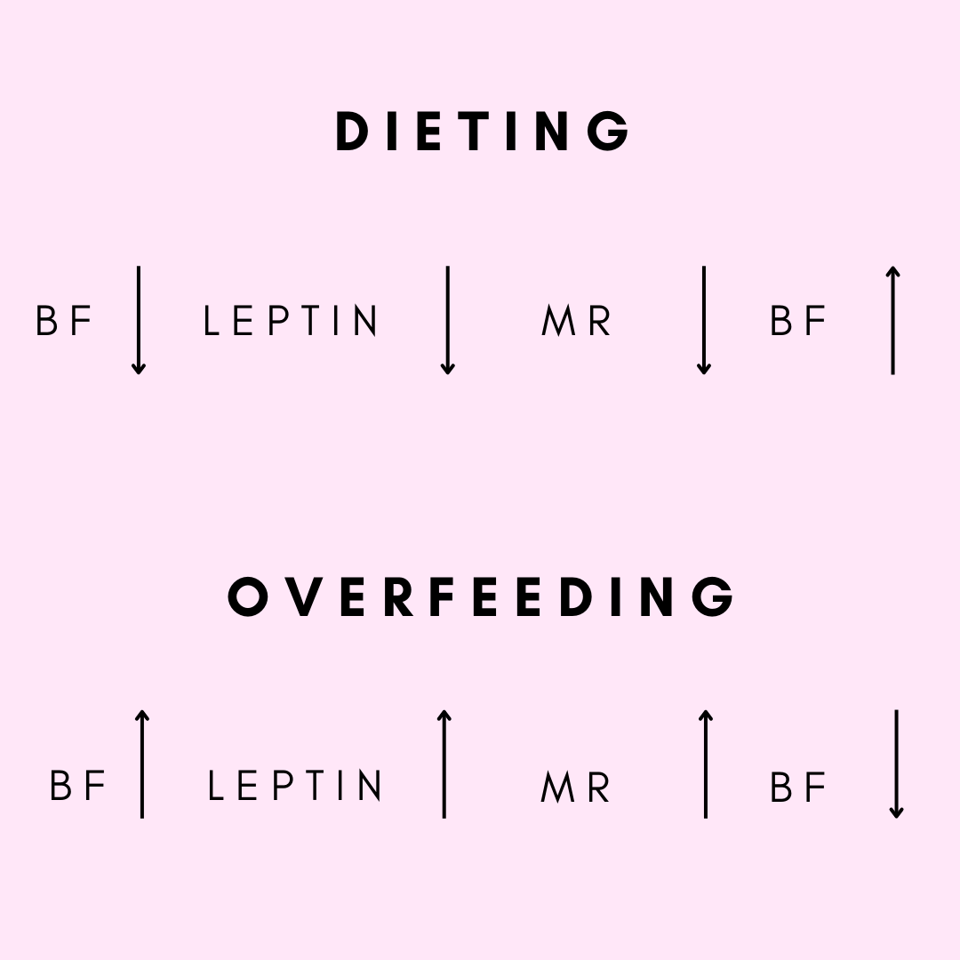 Body Fat Set Point Theory OptiFit’s Newsletter