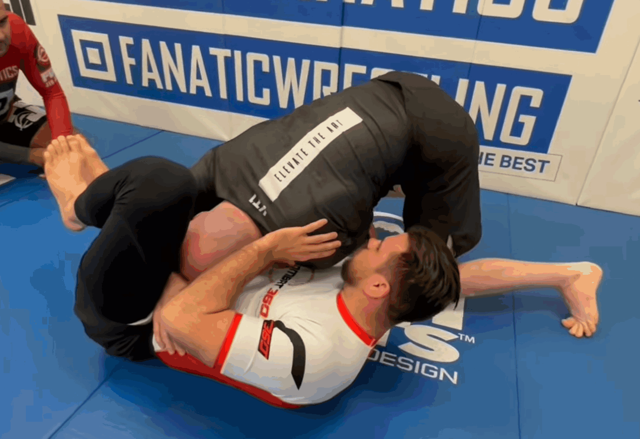 人気 ブランド チェック Passing Principles and SOPs by John Danaher アート写真