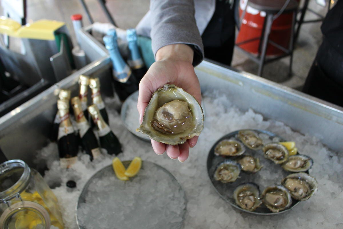 The Bluff Oyster & Food Festival is back