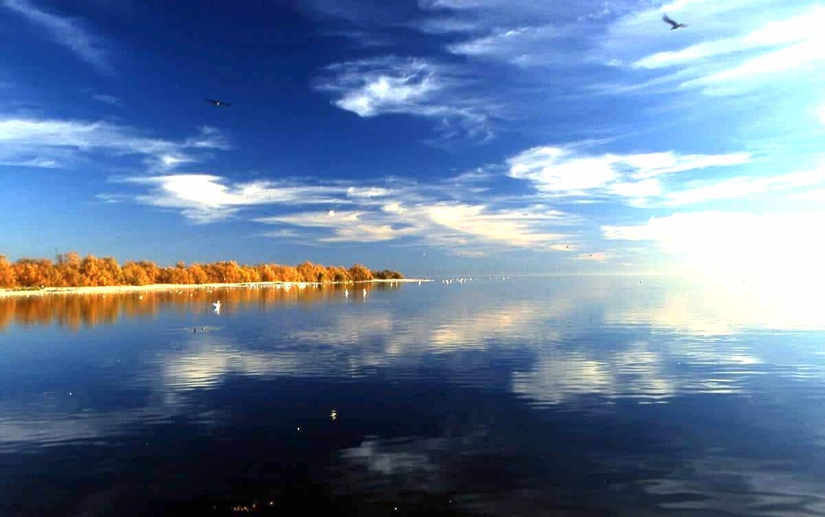 Is the Salton Sea the future of Lithium batteries?