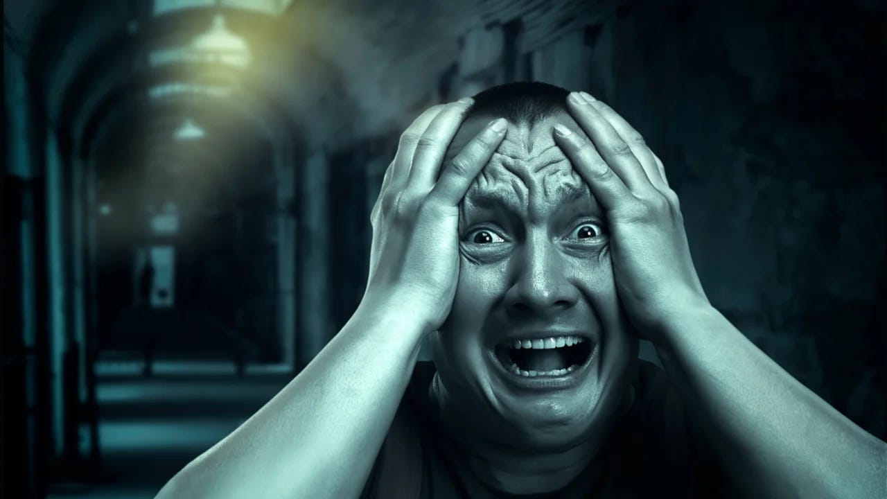 The Psychology of Fear: 5 Theories Explained by Writer The Psychology of Fear: 5 Theories Explained by Writer